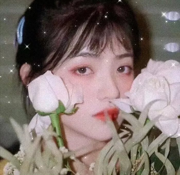 番茄红